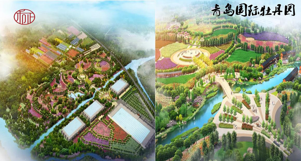 青岛国际牡丹园